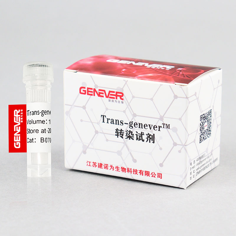 Trans-geneverTM转染试...